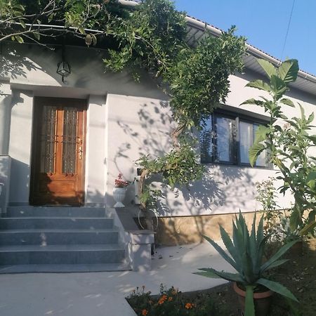 Casa Cu Trandafiri Villa Baia Mare Buitenkant foto