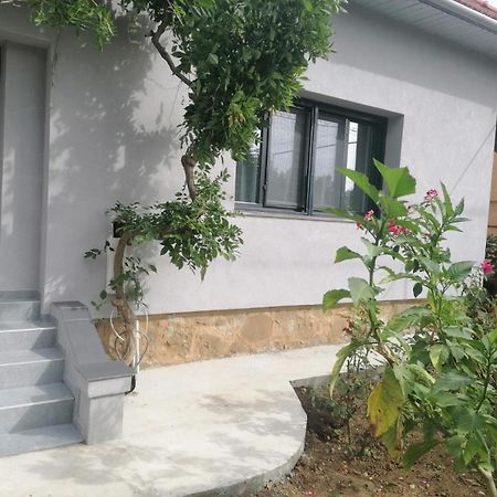 Casa Cu Trandafiri Villa Baia Mare Kamer foto