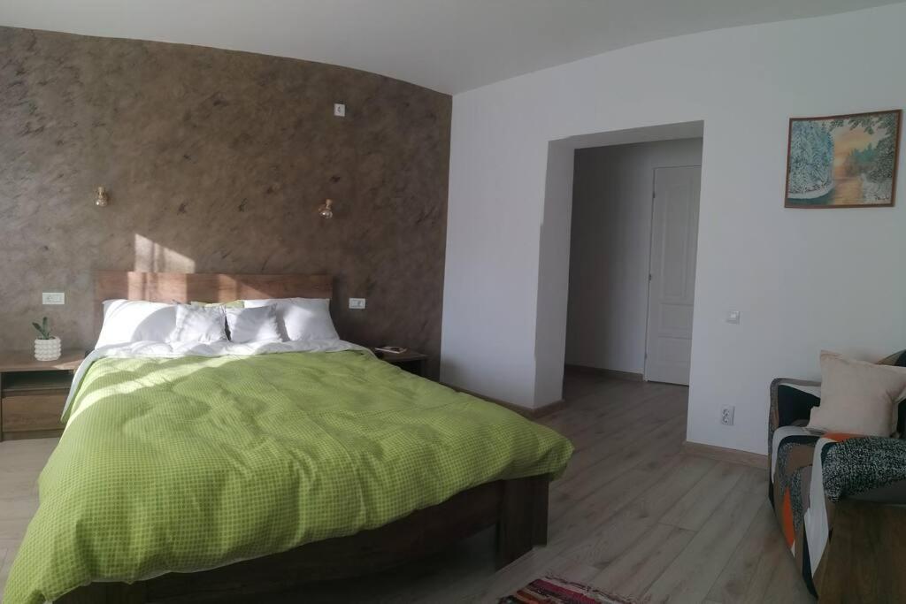 Casa Cu Trandafiri Villa Baia Mare Buitenkant foto