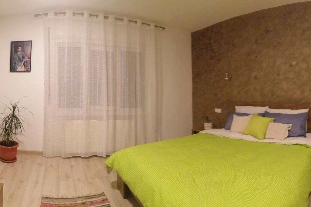 Casa Cu Trandafiri Villa Baia Mare Buitenkant foto