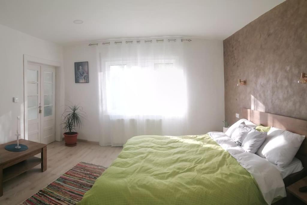Casa Cu Trandafiri Villa Baia Mare Buitenkant foto