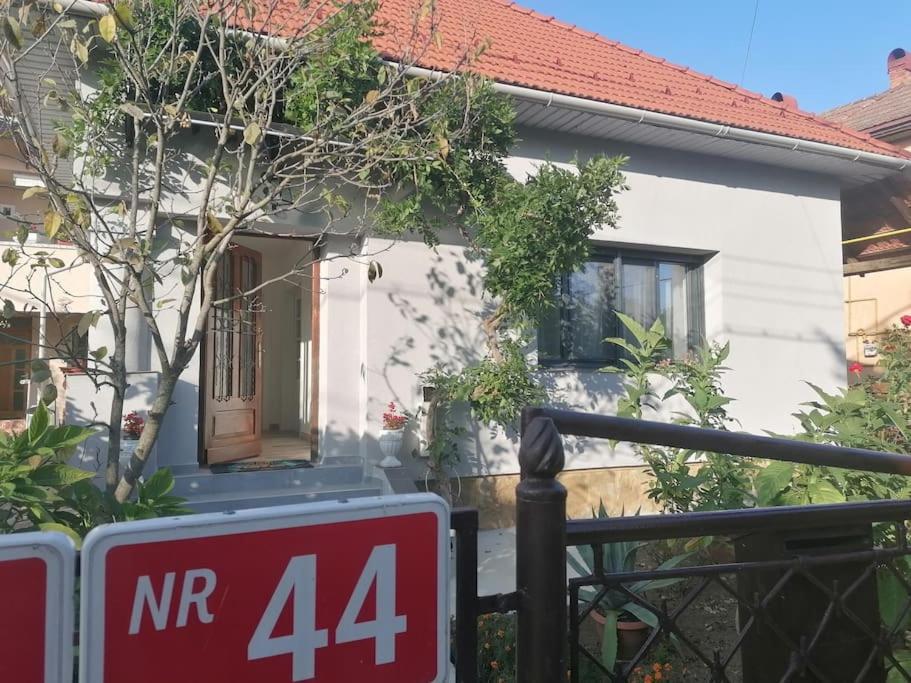Casa Cu Trandafiri Villa Baia Mare Buitenkant foto